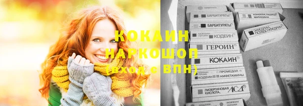 гидропоника Елабуга