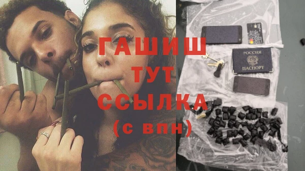 винт Ельня