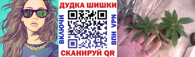 MEGA сайт  Магнитогорск  Бошки марихуана план 